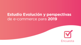 estudio comercio electronico 2019